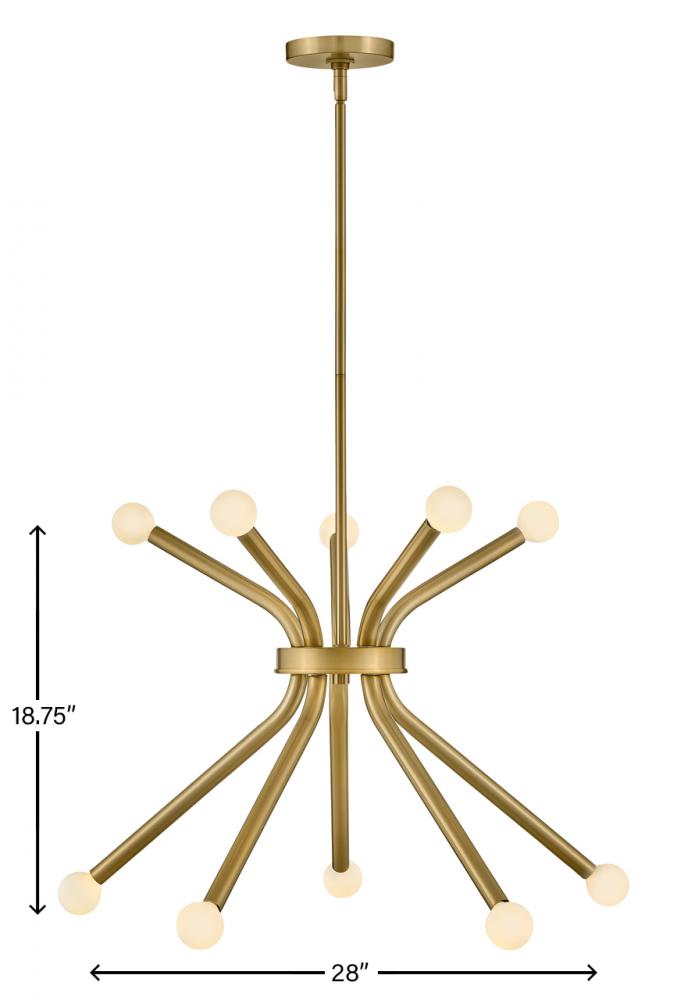 Medium Single Tier Chandelier : 83855LCB : Lacquered Brass