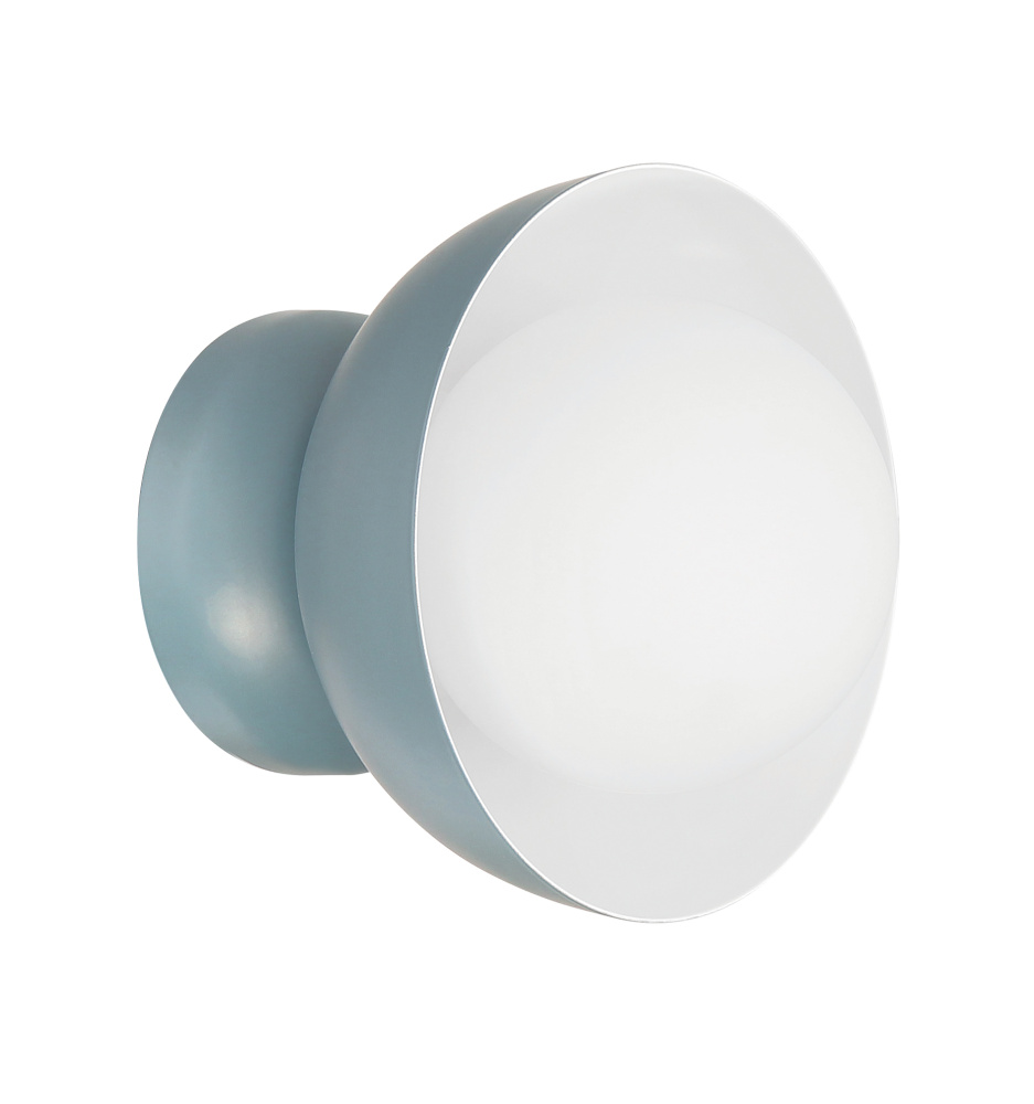 1 Light Wall Sconce