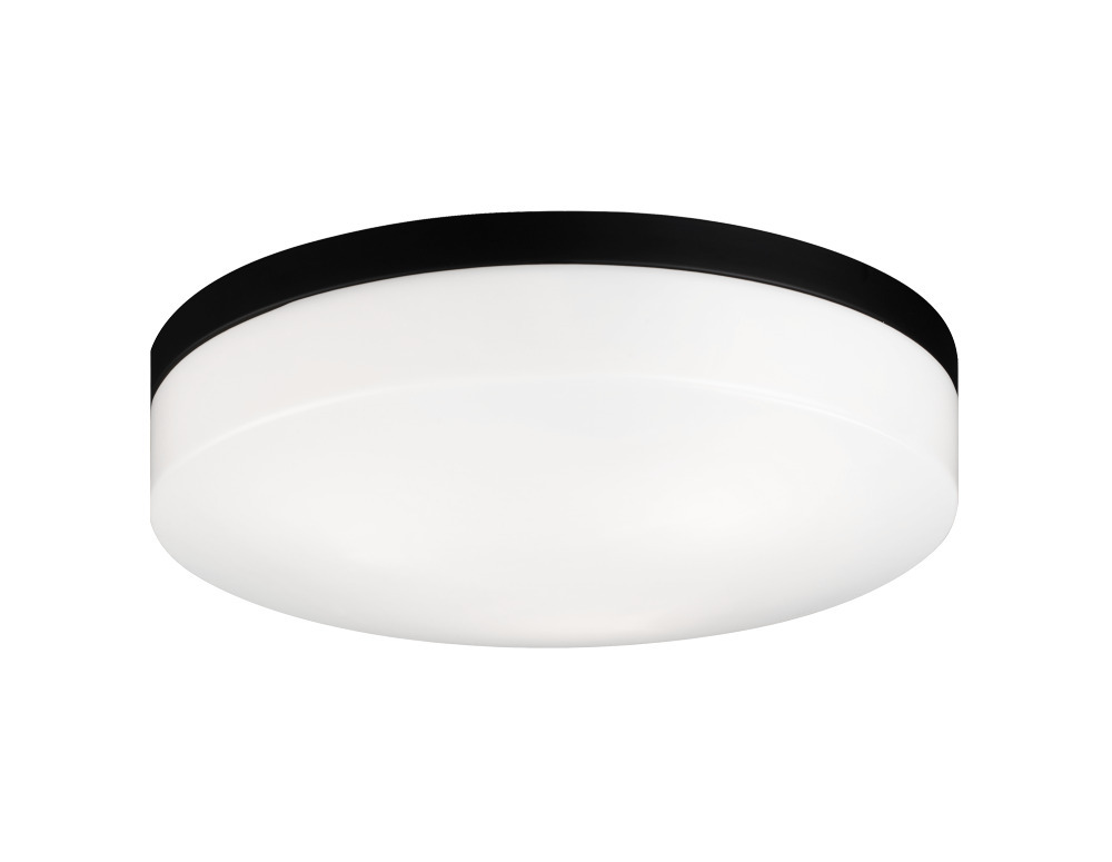 Xenon Black Ceiling Mount