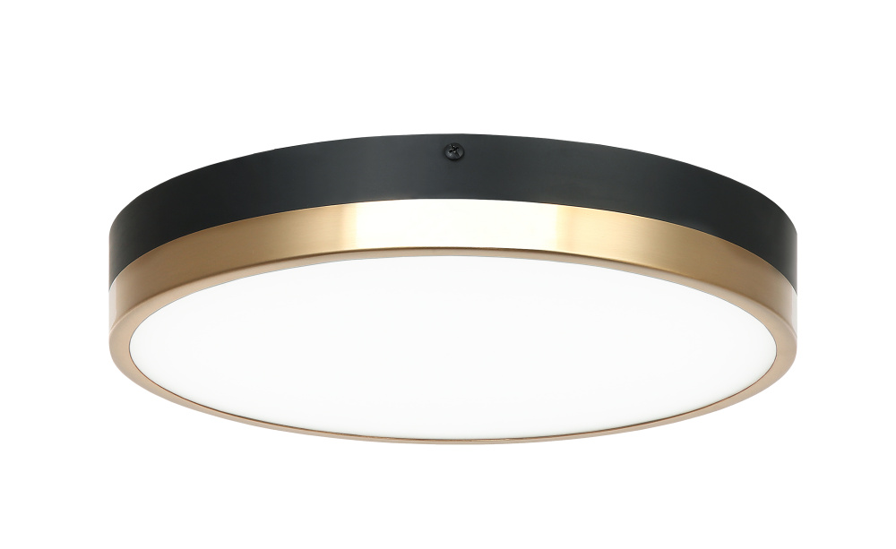 Tone Black, Aged Gold Brass Ceiling Mount