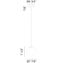 C81751AGCL_C.jpg