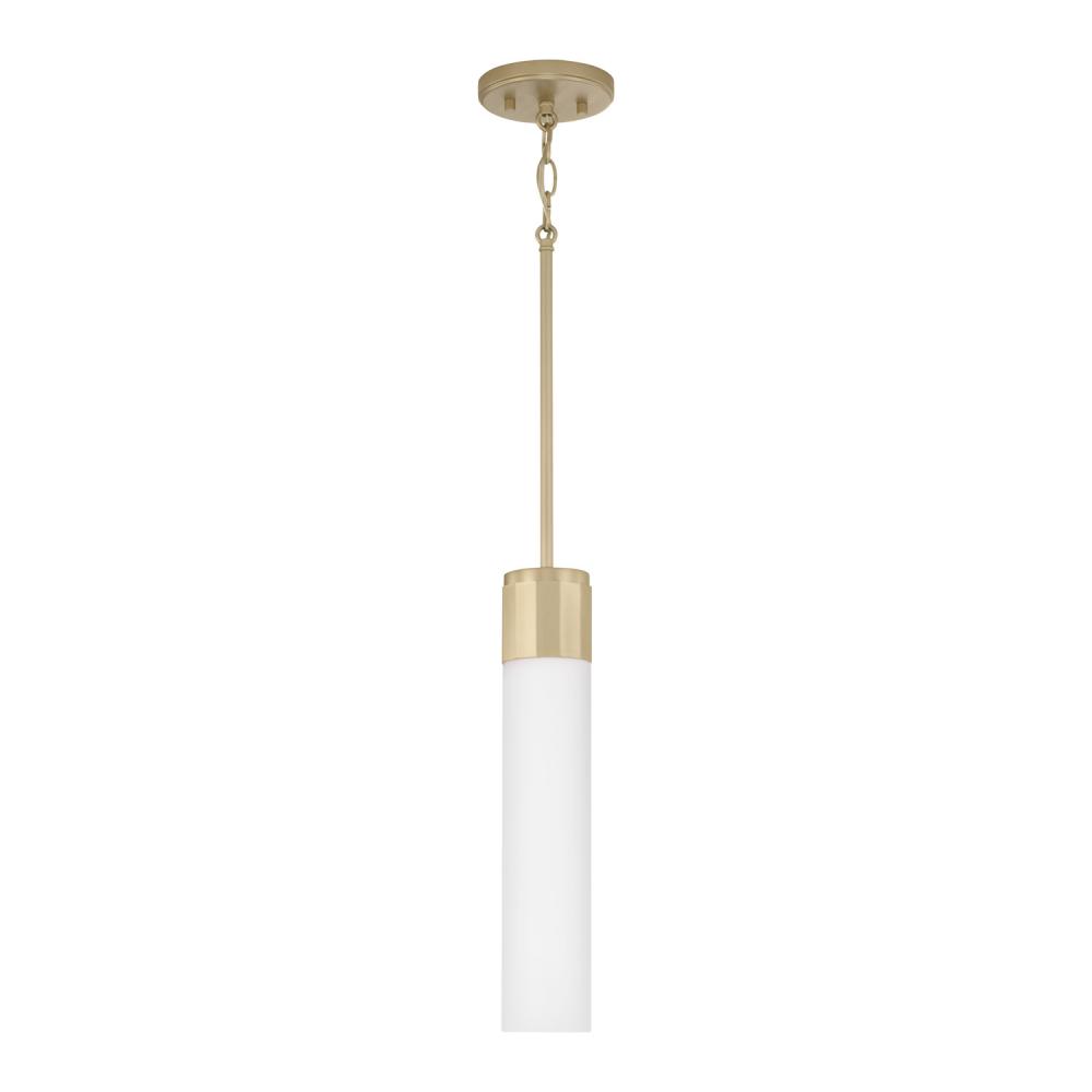 1 Light Pendant