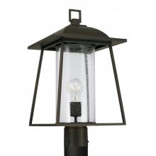 Capital Canada 943615OZ - Durham 1-Light Outdoor Post-Lantern