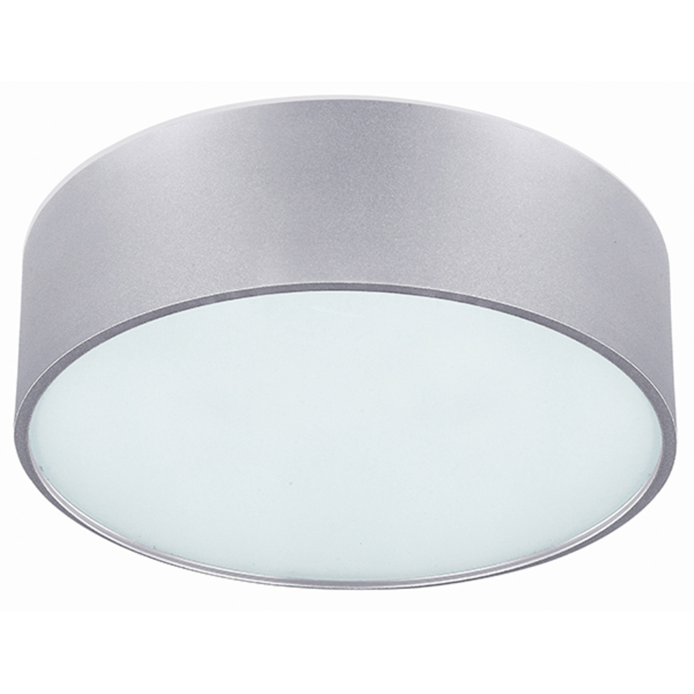 Dexter, 2 Lt Flush Mount, Frosted Glass Diffuser, 60W Type A, 13 3/4" W x 6 1/4" H