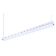 Fluorescent Lights