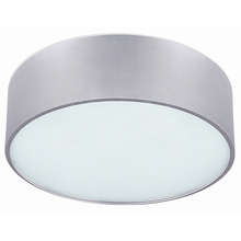 Canarm IFM318A13AL - Dexter, 2 Lt Flush Mount, Frosted Glass Diffuser, 60W Type A, 13 3/4" W x 6 1/4" H