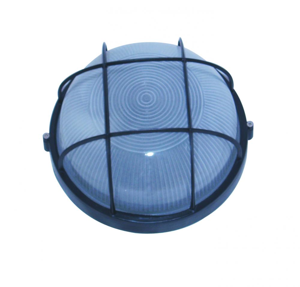 1 Light Outdoor Light