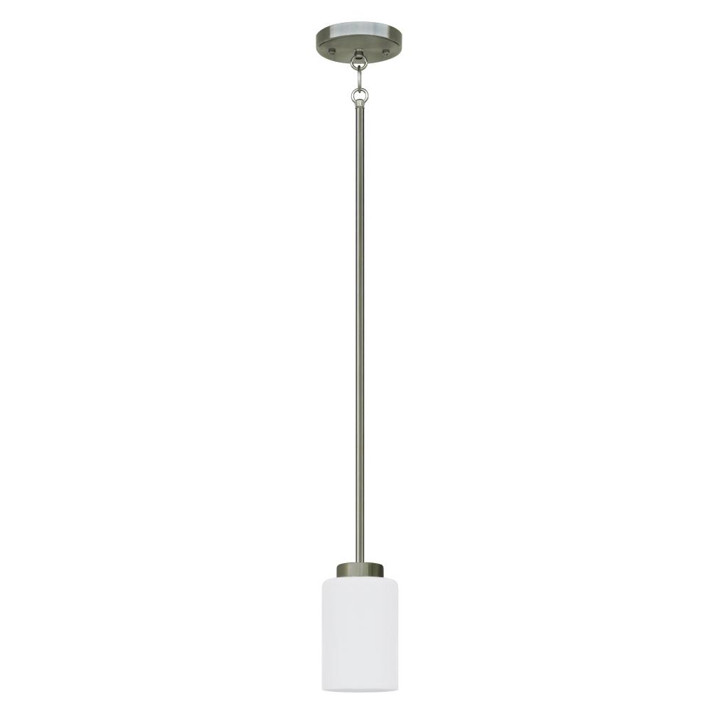 1 Light Pendant
