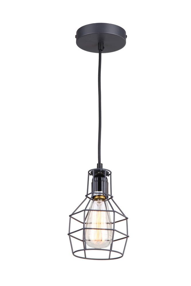 1 Light Pendant