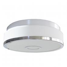 Whitfield FM6029-12CH - 2 Light Flush Mount