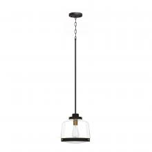 Whitfield PT561-11SS - 1 Light Pendant