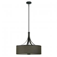 Whitfield SH2322-BREBZ - 4 Light Chandelier Drum Shade