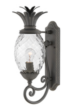 Hinkley Canada 2120MB - Large Wall Mount Lantern