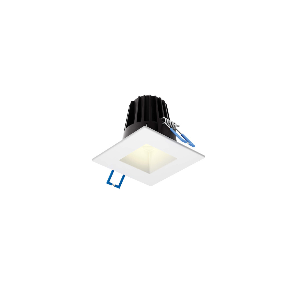 2 Inch Square Indoor/Outdoor Regressed Down Light