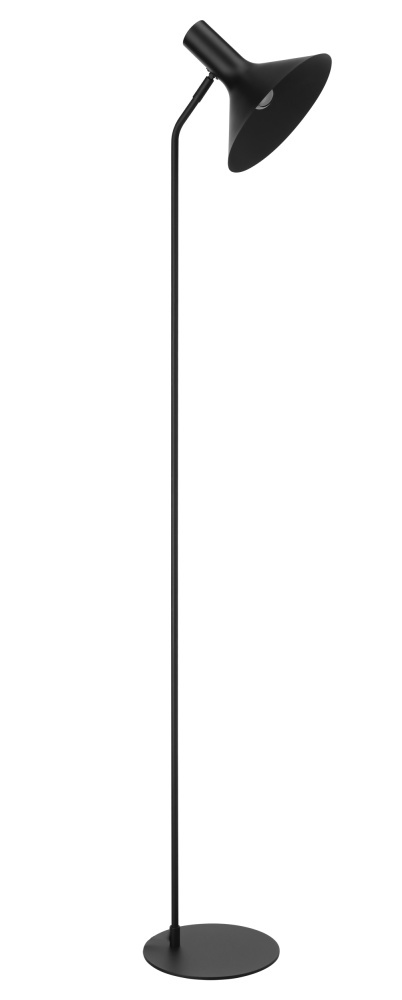 1 LT Floor Lamp w/ Black Finish & Black Metal Shade
