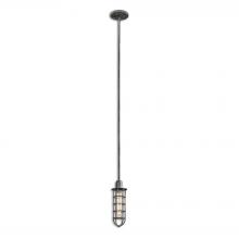 Uttermost 21977 - Uttermost Bearinger 1 Light Mini Pendant