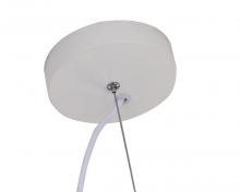DLS100C16W_4.jpg