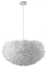 DLS19C29W_1.jpg