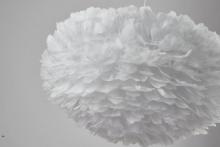 DLS19C29W_5.jpg