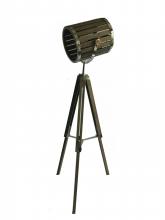Bethel International Canada JFL139KY-DW - Floor Lamp Chrome