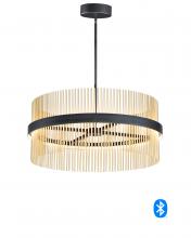 ET2 E34207-BKSBR - Chimes-Single Pendant