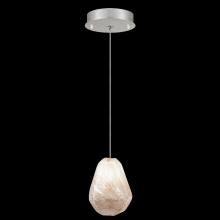 Fine Art Handcrafted Lighting 852240-19LD - Natural Inspirations 5.5" Round Drop Light